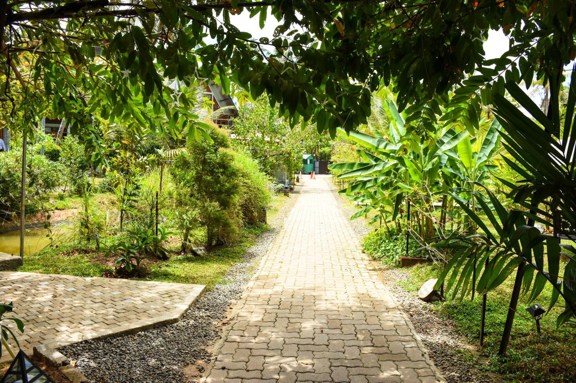 Steps Garden Resort Негомбо Екстериор снимка